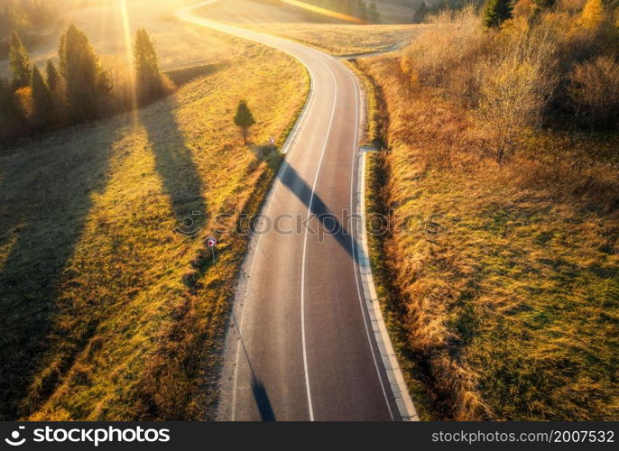 Aerial view of mountain road in forest at sunset in autumn. Top view from drone of road in woods. Beautiful landscape with roadway in hills, pine trees, green meadows, golden sunlight in fall. Travel