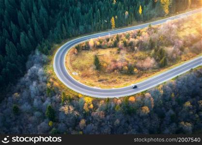 Aerial view of mountain road in forest at sunset in autumn. Top view from drone of road in woods. Beautiful landscape with roadway in hills, pine trees, car, golden sunbeam in fall. Travel. Nature