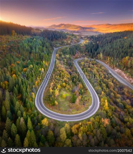 Aerial view of mountain road in forest at sunset in autumn. Top view from drone of road in woods. Beautiful landscape with roadway in hills, pine trees, mountains, golden sunlight in fall. Travel