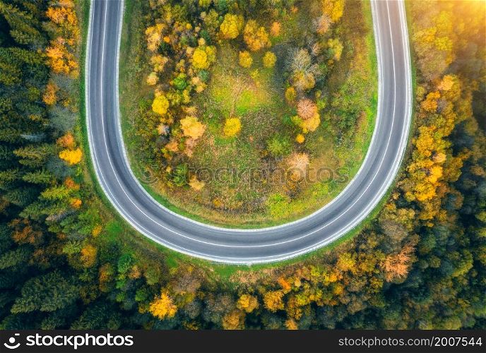Aerial view of mountain road in forest at sunset in autumn. Top view from drone of empty road in woods. Beautiful landscape with roadway, pine trees, orange foliage, sunlight in fall. Travel. Nature