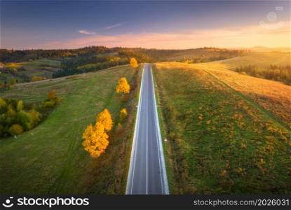 Aerial view of mountain road in green hills at sunset in autumn. Top view from drone of road. Beautiful landscape with roadway, orange trees, green meadows, blue sky, golden sunlight in fall. Travel