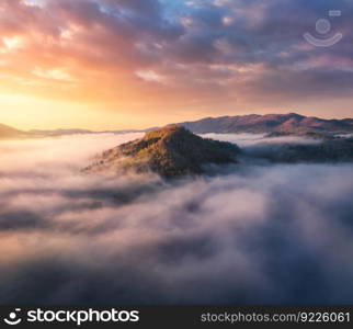 Aerial view of mountains in low clouds at sunrise in summer. Slovenia. View from above of mountain peak in fog. Beautiful landscape with rocks, forest, sunlight, colorful sky. Top view of foggy hills