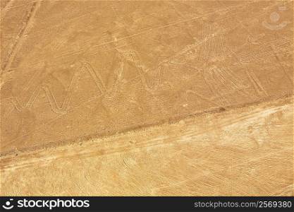Aerial view of Nazca lines representing a gannet, Nazca, Peru