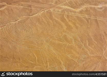 Aerial view of nazca lines representing a monkey, Nazca, Peru
