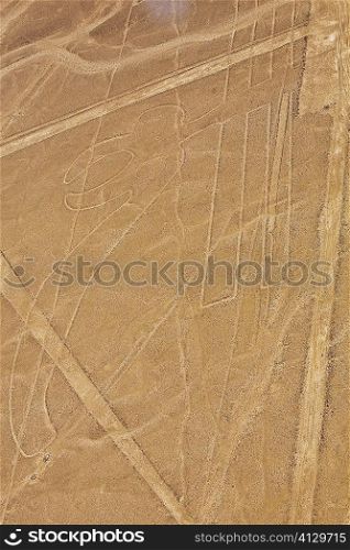 Aerial view of Nazca lines representing a parrot in a desert, Nazca, Peru
