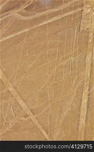 Aerial view of Nazca lines representing a parrot in a desert, Nazca, Peru