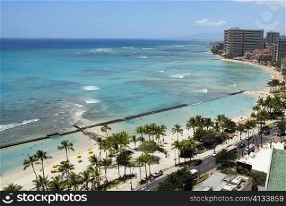 Aerial view of palm trees on the beach, Waikiki Beach, Honolulu, Oahu, Hawaii Islands, USA