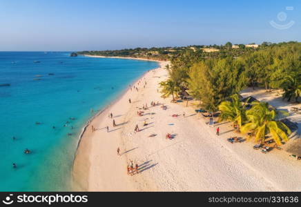 Aerial view of palms on the sandy beach of Indian Ocean at sunset. Summer holiday in Zanzibar, Africa. Tropical landscape with palm trees, white sand, clear blue water with waves. Top view. Seascape