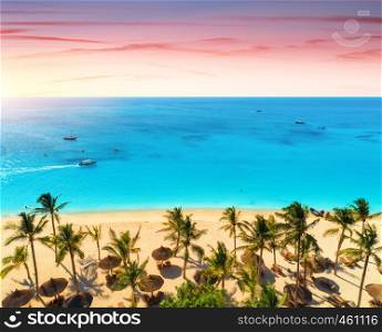 Aerial view of palms on the sandy beach of Indian Ocean at sunset. Summer holiday in Zanzibar, Africa. Tropical landscape with green palm trees, sand, blue water, colorful sky. Top view of sea coast