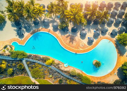 Aerial view of pool, umbrellas, sandy beach with green trees. Coast of Indian ocean at sunset in summer. Zanzibar, Africa. Top view. Landscape with azure water, parasols, palm trees. Luxury resort