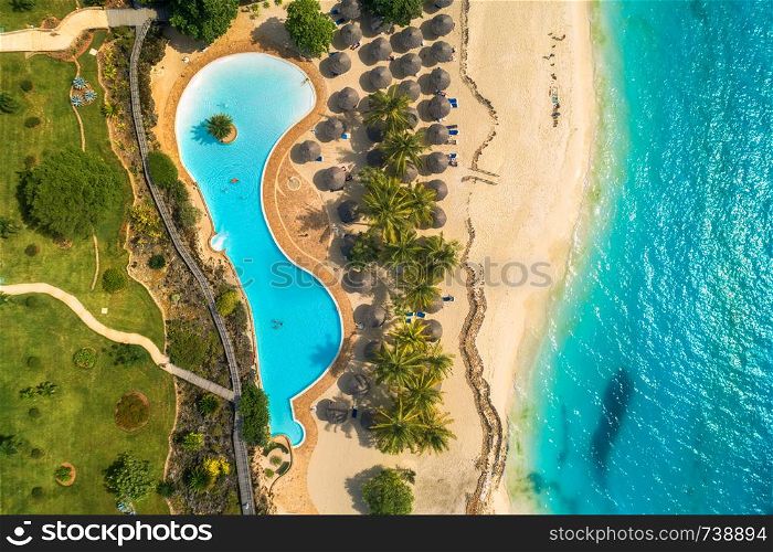 Aerial view of pool, umbrellas, sandy beach with green trees and blue sea. Coast of Indian ocean at sunset in summer. Top view. Landscape with azure water, parasols, palm trees. Luxury resort. Nature