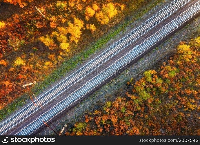 Aerial view of railroad in beautiful forest at sunset in autumn. Industrial landscape with railway station, trees with orange leaves in fall. Top view of rural railway platform. Transportation