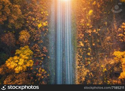 Aerial view of railroad in beautiful forest at sunset in autumn. Industrial landscape with railway station, trees with orange leaves in fall. Top view of rural railway platform. Transportation
