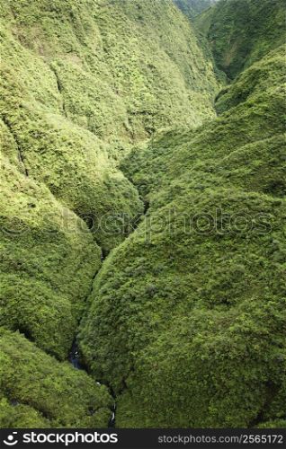 Aerial view of rainforest valley in Maui, Hawaii.