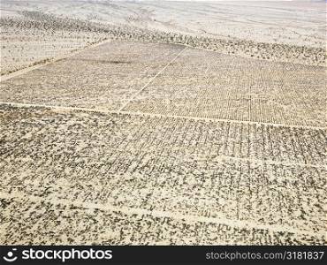 Aerial view of remote California desert with grid pattern.