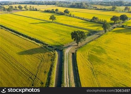 Aerial view of rice fields, North of Italy.