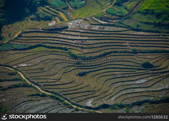 aerial view of rice terrace in sapa northern of vietnam