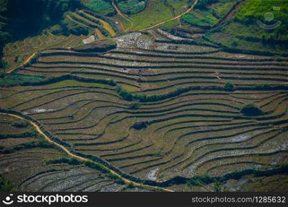 aerial view of rice terrace in sapa northern of vietnam