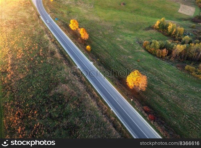 Aerial view of road, hills, green meadows and colorful trees at sunset in autumn. Top view of rural road. Beautiful landscape with roadway, grass, orange trees in fall. Highway. View from above. Aerial view of winding road in autumn forest at sunset