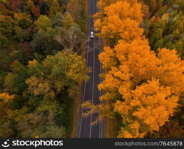 Aerial view of road in beautiful autumn altai forest. Beautiful landscape with empty rural road, golen autumn in altai: trees with red, yellow and orange leaves.. Aerial view of road in beautiful autumn altai forest