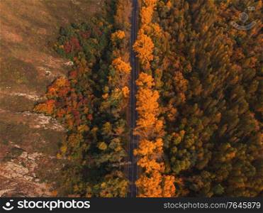 Aerial view of road in beautiful autumn altai forest. Beautiful landscape with empty rural road, golen autumn in altai: trees with red, yellow and orange leaves.. Aerial view of road in beautiful autumn altai forest
