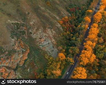 Aerial view of road in beautiful autumn Altai forest. Beautiful landscape with empty rural road, golden autumn in altai  trees with red, yellow and orange leaves.. Aerial view of road in beautiful autumn Altai forest