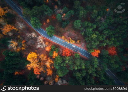 Aerial view of road in beautiful autumn forest. Amazing landscape with empty rural road, trees with green, red and orange leaves in day. Highway through the park. Top view from flying drone. Nature