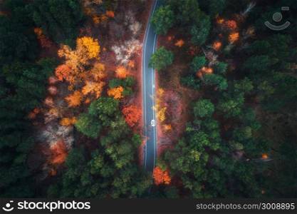 Aerial view of road in beautiful autumn forest. Amazing landscape with empty rural road, trees with green, red and orange leaves in day. Highway through the park. Top view from flying drone. Nature