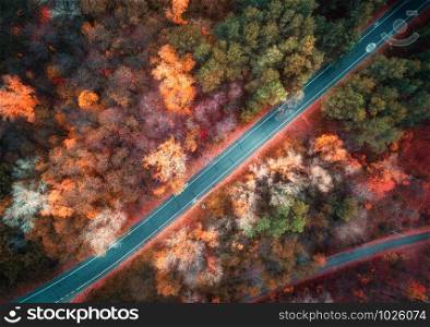 Aerial view of road in beautiful autumn forest at sunset. Colorful landscape with empty rural road, trees with red, yellow and orange leaves in fall. Highway through the park. Top view. Autumn colors. Aerial view of road in beautiful autumn forest at sunset