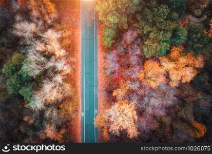 Aerial view of road in beautiful autumn forest at sunset. Colorful landscape with empty road from above, trees with red, yellow and orange leaves. Highway in park. Top view. Autumn colors. Fall woods. Aerial view of road in beautiful autumn forest at sunset