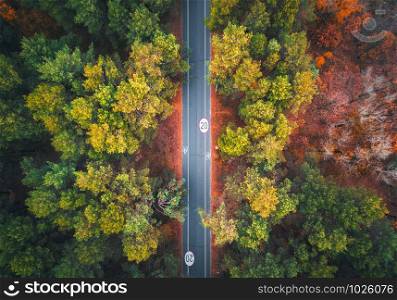 Aerial view of road in beautiful autumn forest at sunset. Colorful landscape with empty asphalt road, trees with red and yellow leaves. Highway. Top view. Nature. Autumn colors. Fall woods. Nature. Aerial view of road in beautiful autumn forest at sunset