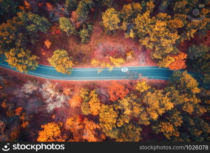 Aerial view of road in beautiful autumn forest at sunset. Colorful landscape with empty road from above, trees with red, yellow and orange leaves. Top view of highway. Autumn colors. Fall woods. Aerial view of road in beautiful autumn forest at sunset