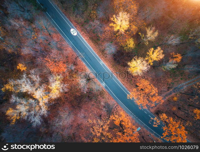 Aerial view of road in beautiful autumn forest at sunset. Colorful landscape with empty rural road, trees with red, yellow and orange leaves. Top view of highway. Autumn colors. Fall woods. Scenery. Aerial view of road in beautiful autumn forest at sunset