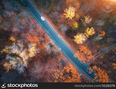 Aerial view of road in beautiful autumn forest at sunset. Colorful landscape with empty rural road, trees with red, yellow and orange leaves. Top view of highway. Autumn colors. Fall woods. Scenery. Aerial view of road in beautiful autumn forest at sunset