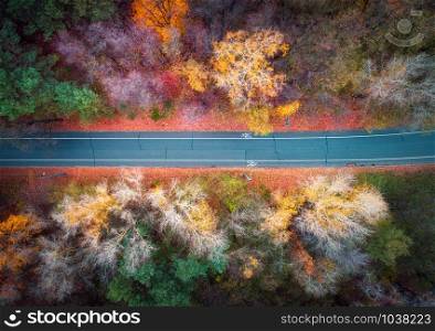 Aerial view of road in beautiful autumn forest at sunset. Colorful landscape with empty road from above, trees with red, yellow and orange leaves. Highway in park. Top view. Autumn colors. Fall woods