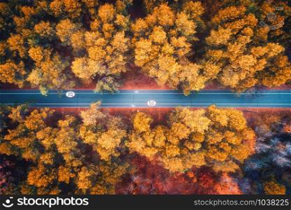 Aerial view of road in beautiful autumn forest at sunset. Colorful landscape with empty rural road, trees with red, yellow and orange leaves. Highway. Top view. Autumn colors. Nature. Fall woods