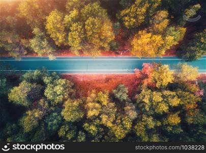 Aerial view of road in beautiful autumn forest at sunset. Colorful landscape with empty asphalt road from above, trees with red and yellow leaves. Highway in park. Top view. Autumn colors. Fall woods