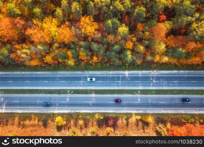Aerial view of road in beautiful autumn forest at sunset. Colorful landscape with highway, cars, trees with red, yellow and orange leaves. Top view of roadway. Autumn colors. Fall woods. Scenery