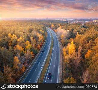 Aerial view of road in beautiful autumn forest at sunset. Colorful landscape with highway, blurred cars, trees with orange leaves, beautiful sky with clouds in fall. Top view of roadway. Autumn colors