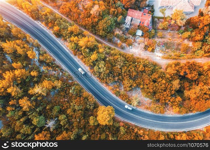 Aerial view of road in beautiful autumn forest at sunset. Colorful landscape with empty road from above, trees with red, yellow and orange leaves in fall. Top view from drone of highway. Autumn colors