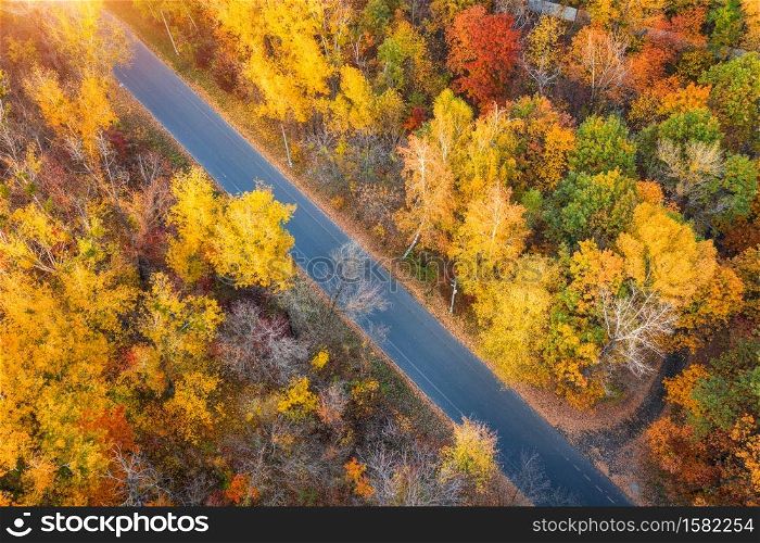 Aerial view of road in beautiful autumn forest at sunset. Colorful landscape with empty road , trees with multicolored leaves in fall. Roadway in park in Europe. Top view from drone. Autumn colors. Aerial view of road in beautiful autumn forest at sunset.