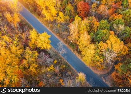 Aerial view of road in beautiful autumn forest at sunset. Colorful landscape with empty road , trees with multicolored leaves in fall. Roadway in park in Europe. Top view from drone. Autumn colors. Aerial view of road in beautiful autumn forest at sunset.