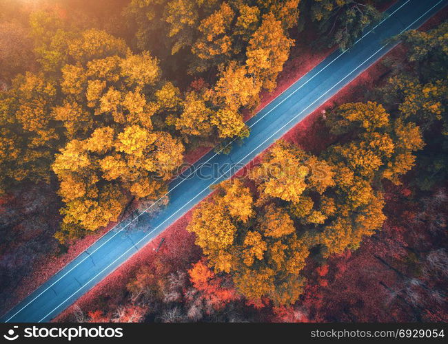 Aerial view of road in beautiful autumn forest at sunset. Beautiful landscape with empty rural road, trees with red and orange leaves. Highway through the park. Top view from flying drone. Nature