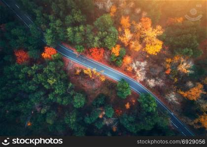 Aerial view of road in beautiful autumn forest at sunset. Beautiful landscape with empty rural road, trees with green, red and orange leaves. Highway through the park. Top view from flying drone