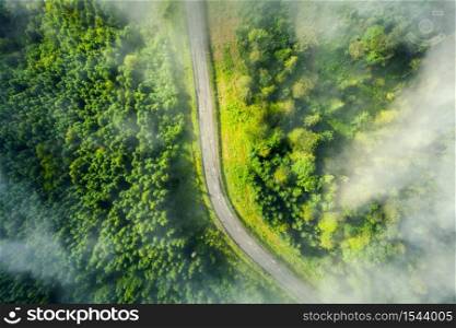 Aerial view of road in beautiful green forest in low clouds at sunset in summer. Colorful landscape with roadway in fog, pine trees in Carpatian mountains. Top view of highway. Travel in Ukraine