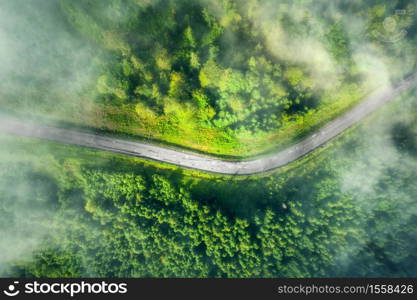 Aerial view of road in beautiful green forest in low clouds at sunset in summer. Colorful landscape with roadway in fog, pine trees in Carpatian mountains. Top view of highway. Travel in Ukraine
