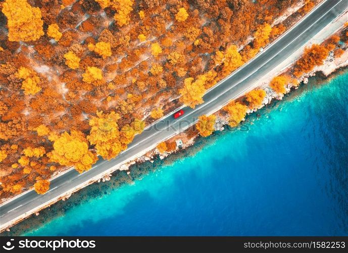 Aerial view of road in beautiful orange forest and blue sea at sunset in autumn. Colorful landscape with roadway, blurred cars, clear water, trees in fall. Top view of road along the sea coast. Travel. Aerial view of road in beautiful orange forest and blue sea