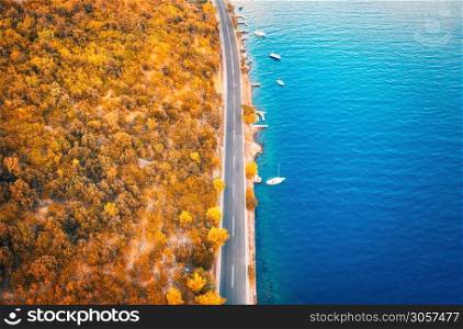 Aerial view of road in beautiful orange forest and boats in the sea at sunset in autumn. Colorful landscape with asphalt roadway, blue water, trees in fall. Top view of road along the sea coast