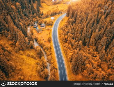 Aerial view of road in beautiful orange forest at sunset in autumn. Colorful landscape with roadway, trees in fall. Carpathian mountains. Top view from drone of winding road. Autumn colors. Travel. Aerial view of road in colorful orange forest at sunset in autumn