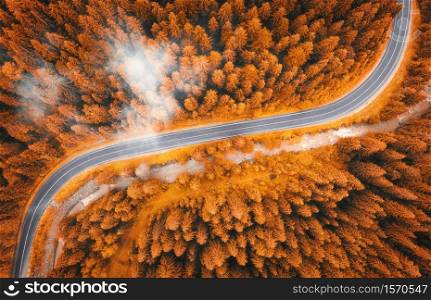 Aerial view of road in beautiful orange forest in low clouds at sunset in autumn. Colorful landscape with roadway, pine trees in fog in Carpathian mountains in fall. Top view of winding road. Travel. Aerial view of road in beautiful autumn forest in low clouds
